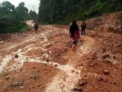 Sudah Banyak Makan Korban, Jalan Rusak di Dusun Serteh Lingga Tak Kunjung Diperbaiki Pemprov Kepri