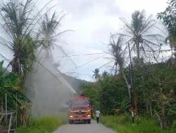 Serang Tanaman Warga, Dispantan Semprotkan Racun ke Ribuan Ulat Api di Pelambung