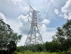 PLN Operasikan Transmisi Baru SUTET 275 KV Muara Enim-Gumawang, TKDN Capai 90 Persen