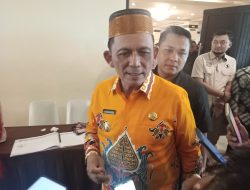 Soal Pelantikan Andri Pj Wali Kota Tanjungpinang, Gubernur: Tunggu Saja