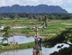 33 Dusun Terpencil Sulawesi Selatan Dilistriki PLN Kini Sudah Menyala 24 Jam