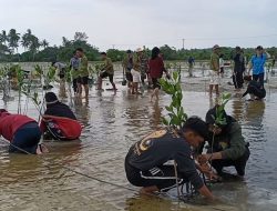 Hari Lingkungan Hidup Sedunia, KMI UMRAH dan Banyan Tree Tanam 1.000 Bibit Mangrove