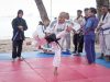 Indonesia Spider Jujitsu, Olahraga Beladiri Dengan Teknik Kuncian dan Bantingan