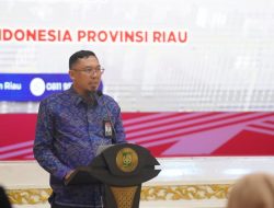 Kepala Ombudsman Perwakilan Riau Harap Seluruh Kabupaten dan Kota di Riau Miliki MPP