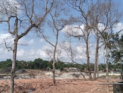 Proyek Polder Miliaran Rupiah di Jalan Sri Katon Tanjungpinang Rugikan Warga