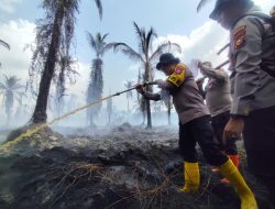 Karlahut di Kecamatan Kempas, Kapolres Inhil Turun Langsung Ikut Padamkan