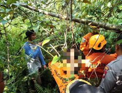 Hilang Sejak Sabtu, Seorang Lansia Ditemukan Tewas di Hutan Kawal Bintan