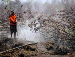 Buka Lahan Dengan Cara Dibakar, Polda Riau Tetapkan 7 Orang Tersangka