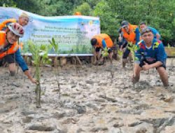 Lestarikan Lingkungan, PLN Batam Tanam 1.000 Pohon Mangrove di Pantai Nongsa