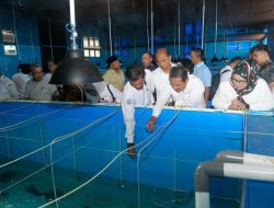 Plt. Gubernur Marlin: Pengawasan Penting Untuk Pemanfaatan Sumberdaya Kelautan