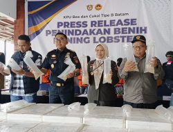 BC Batam Gagalkan Penyelundupan Baby Lobster Senilai Rp 26, 9 Miliar, 6 Pelaku Turut Diamankan