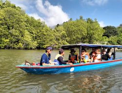 Wisata Hutan Mangrove Pengudang Bintan