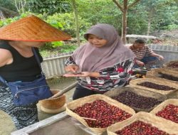 Kopi Sangit Bintan, Cita Rasa Pemikat Wisata