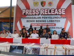 Tim Satgas Gabungan Tangkap Penyelundup Benih Lobster Senilai Rp. 7.5 Milyar