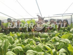 Warga Binaan Rutan Tanjungpinang Sulap Lahan Kosong Jadi Kebun Sayur