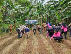 Wujud Nyata Ketahanan Pangan Nasional, Polres Anambas Gelar Penanaman Jagung Serentak 1 Juta Hektar