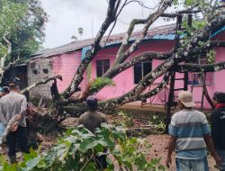 Polsek Bintan Timur Evakuasi Pohon Tumbang Timpa Rumah Warga