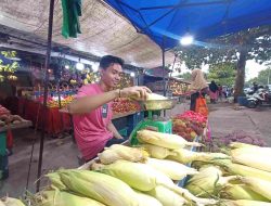 Pedagang: Tak Kurang dari 1 Ton Jagung Ludes pada Momen Tahun Baru 2025 di Tanjungpinang