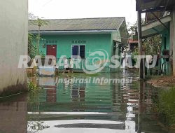 Akibat Banjir Rob di Tanjungpinang, Sampah hingga Ular Masuk ke Permukiman