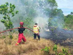 Sehari 4 Kali Terjadi Kebakaran, Damkar Karimun Sampai Kewalahan