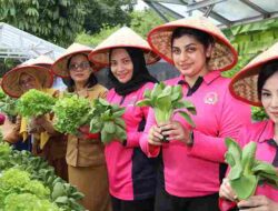 Dukung Program Ketahanan Pangan & MBG, Kapolresta Tanjungpinang Ikuti Launching P2L