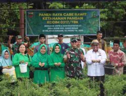 Dukung Ketahanan Pangan, Kodim 0317/TBK Panen Raya Cabai Rawit