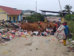 TPA Sampah Kabupaten Karimun Kembali Dibuka