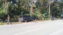 Tabrak Pohon, Mobil Avanza Ditinggal Kabur Pengemudi