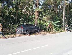 Tabrak Pohon, Mobil Avanza Ditinggal Kabur Pengemudi