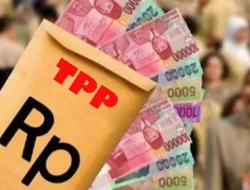 TPP ASN Januari-Februari 2025 Belum Cair, ini Kata Pemkab Karimun