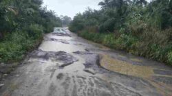 Miris! Jalan Penghubung ke Kabupaten Tanjabtim Sangat Memprihatinkan