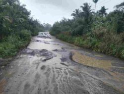 Miris! Jalan Penghubung ke Kabupaten Tanjabtim Sangat Memprihatinkan