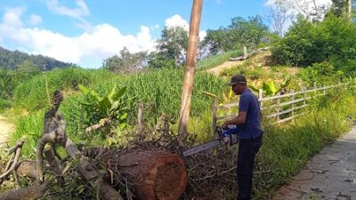 BPBD Anambas Kembali Gerak Cepat Normalisasi Pohon Tumbang