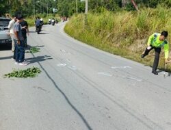 Pemotor Kawasaki Ninja Tewas Usai Kecelakaan di Tikungan Bagun Sari Karimun