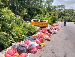 Menumpuk di Luar Kontainer, DLH Karimun Imbau Warga Buang Sampah pada Tempatnya