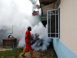 Dinkes Karimun Lakukan Fogging Tekan Penyebaran Kasus DBD