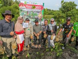 Penataan Ruang Terbuka Hijau, Lis Darmansyah Ikut Tanam 5000 Pohon Mangrove