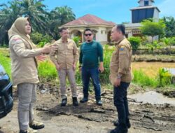 Gubernur Jambi bersama Bupati dan Wabup Tanjung Jabung Timur Meninjau Jalan Provinsi Sabak-Nipah Panjang