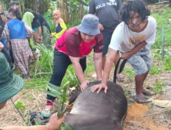 Qurban: Tentang Cinta, Pengorbanan, dan Keikhlasan