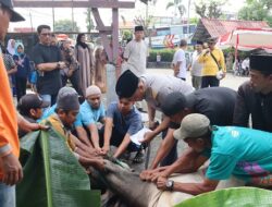 Polresta Tanjungpinang Sembelih 6 Ekor Hewan Kurban, Idul Adha 1446 H