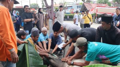 Polresta Tanjungpinang Sembelih 6 Ekor Hewan Kurban, Idul Adha 1446 H