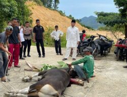 Wujud Syukur dan Peduli Sesama, Kapolres Anambas Saksikan Langsung Penyembelihan Hewan Qurban