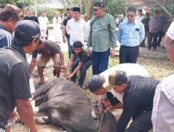 Dinas PUPR Karimun Sembelih 5 Ekor Hewan Kurban di Hari Raya Idul Adha 2025