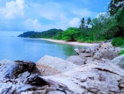 Pemprov Kepri Menegaskan Pulau Pekajang Sah Milik Kepri Berdasarkan Aturan Hukum