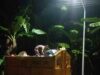 Tanjungpinang Berbenah, Kontainer Sampah Dipasang Lampu Penerangan