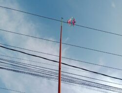Sudah Marak, PLN Karimun Tegaskan Layangan Jauh dari Jaringan Listrik, ini Dampak dan Bahayanya