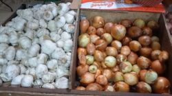 Harga Kebutuhan Bahan Pokok di Karimun Meroket