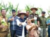 Tingkatkan Kemandirian Pangan, Amsakar Harap Lahan Potensial Terus Dimanfaatkan untuk Tekan Inflasi