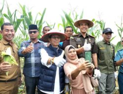 Tingkatkan Kemandirian Pangan, Amsakar Harap Lahan Potensial Terus Dimanfaatkan untuk Tekan Inflasi