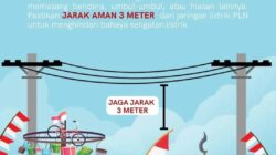 Jangan Sembarangan Pasang Bendera dan Umbul-umbul HUT RI, PLN Karimun: Jarak Aman 3 Meter dari Jaringan Listrik